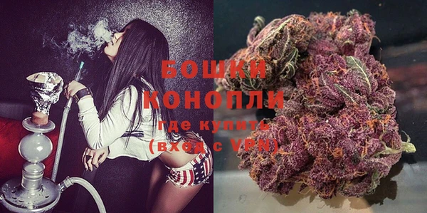 сатива Сафоново